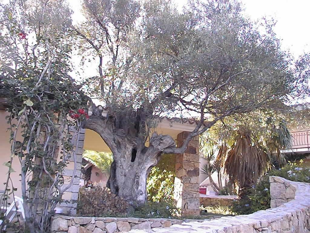 Borgo Le Logge Aparthotel Budoni Luaran gambar